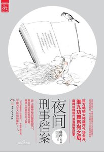 夜间刑事档案