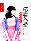 《契约成婚之宠妻入骨》