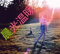 《晨光温暖》