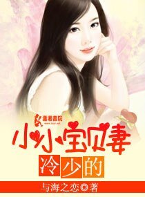 《冷少的小小宝贝妻》