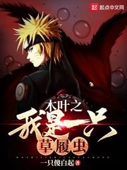 《木叶之崩坏降临》