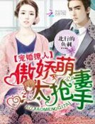 宠婚撩人:傲娇萌妻太抢手