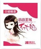 《小小王爷不大妃》