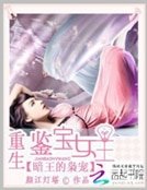 暗王的梟寵:重生鑑寶女王