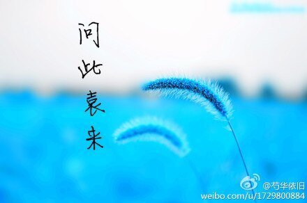 (士兵突击同人)问此袁来