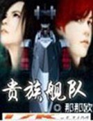 《贵族舰队》