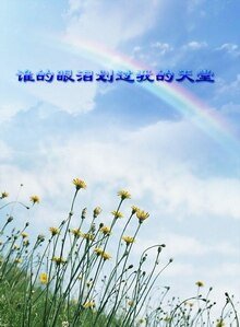 《谁的眼泪划过我的天堂》