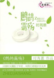 鹧鸪霭殇
