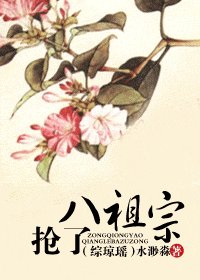 《(综琼瑶同人)抢了八祖宗》
