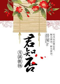 《月满维扬君知否》