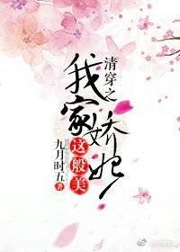 《清穿之我家娇妃这般美》