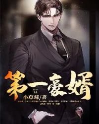 《第一豪婿》