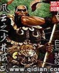《风云之少林威武》