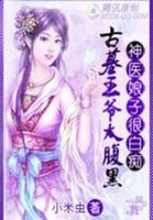 古墓王爷太腹黑,神医娘子很白痴