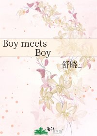Boy meets Boy