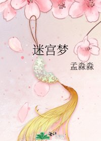《迷宫梦》