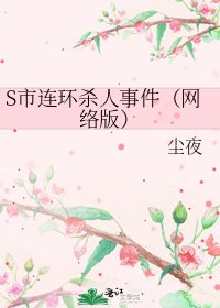 《S市连环杀人事件(网络版)》