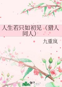 《人生若只如初见(猎人同人)》