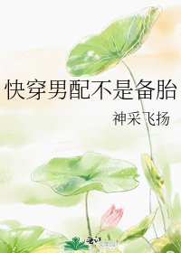 《快穿男配不是备胎》