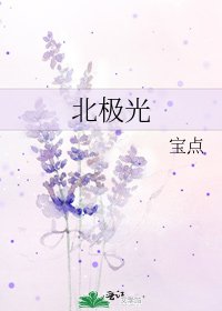 《北极光》