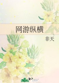 网游纵横
