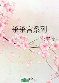《杀杀宫系列》
