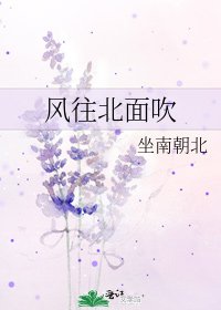 《风往北面吹》