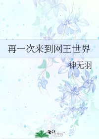 《再一次来到网王世界》
