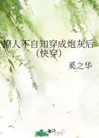 《当撩人不自知穿成炮灰后(快穿)》