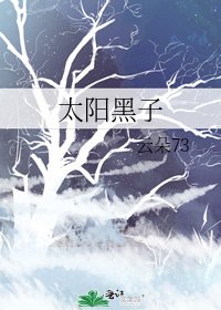 《太阳黑子》
