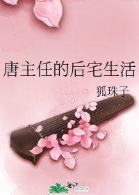 《唐主任的后宅生活》