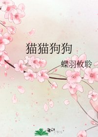 《猫猫狗狗》