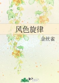 《风色旋律》
