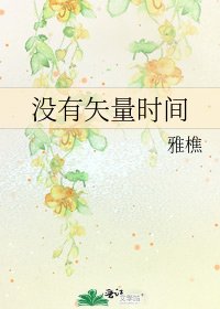 《没有矢量时间》