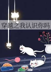 《穿越之我认识你吗》