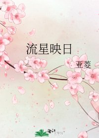 《流星映日》