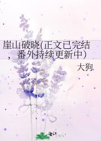 《崖山破晓(已,番外持续更新中)》