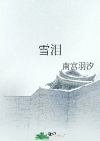 雪泪
