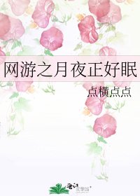 《网游之月夜正好眠》