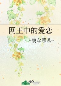 《网王中的爱恋》