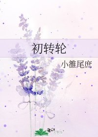 《初转轮》