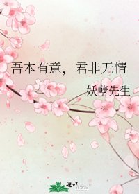 《吾本有意,君非无情》