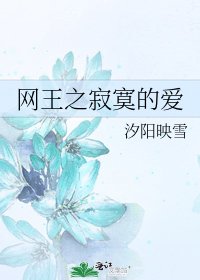 《网王之寂寞的爱》