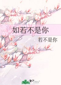 《如若不是你》
