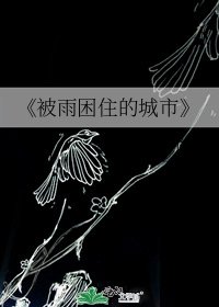 《被雨困住的城市》