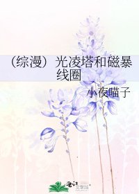 《(综漫)光凌塔和磁暴线圈》