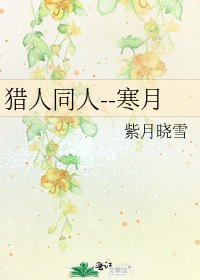 《猎人同人--寒月》