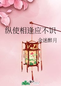 《纵使相逢应不识》
