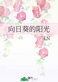 《向日葵的阳光》