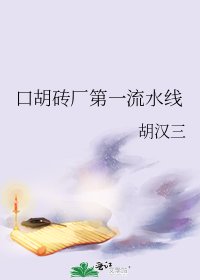 《口胡砖厂第一流水线》